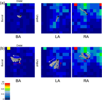 Figure 11.