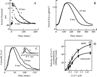   Figure 2.  