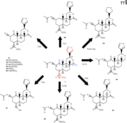   Figure 3. 