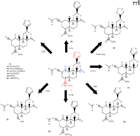   Figure 3. 